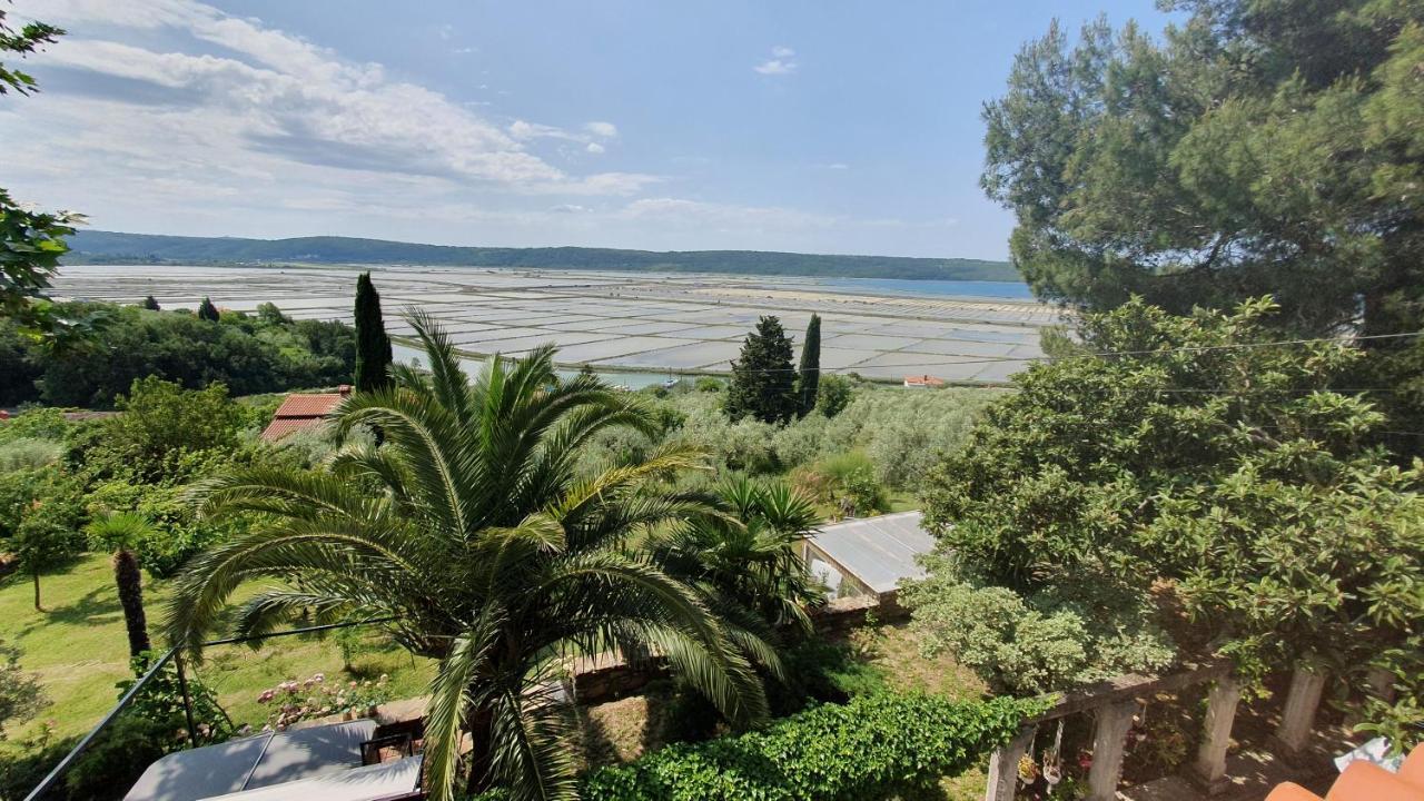 Apartment Laurus Portoroz Exterior foto
