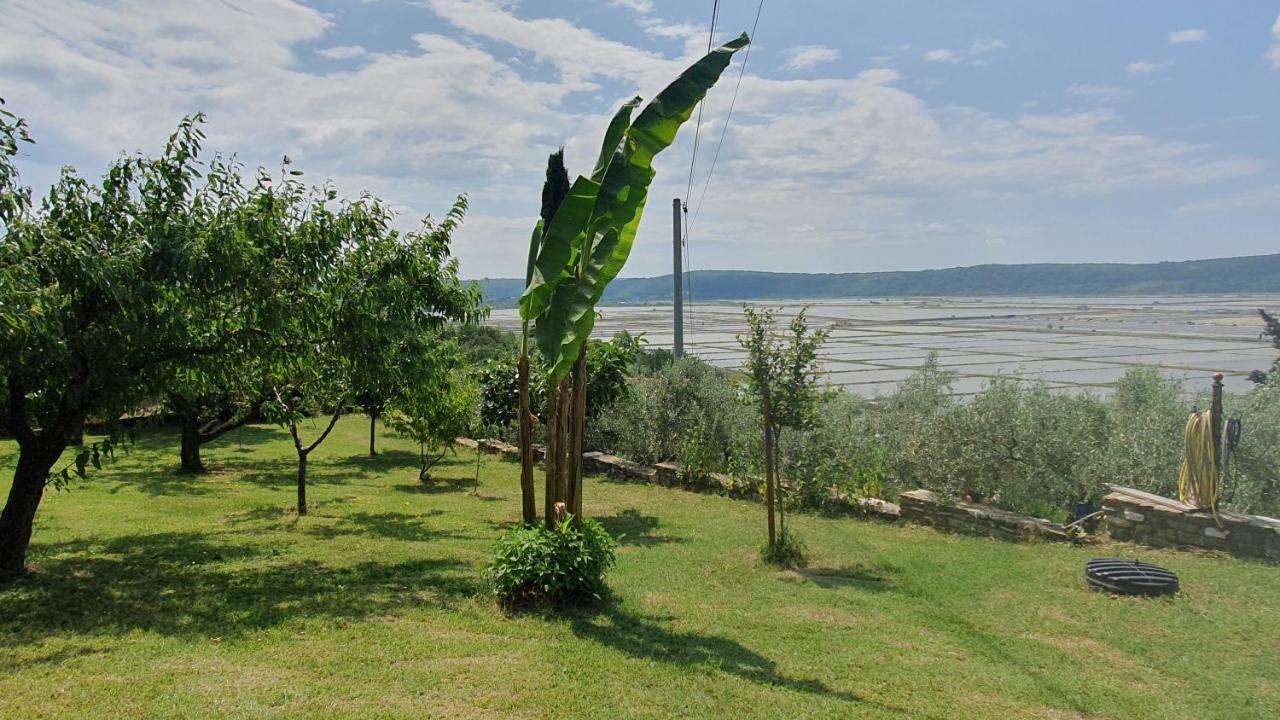 Apartment Laurus Portoroz Exterior foto