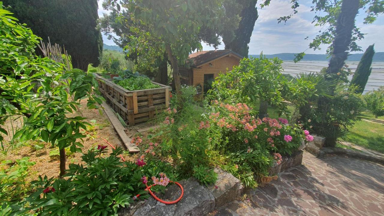 Apartment Laurus Portoroz Exterior foto