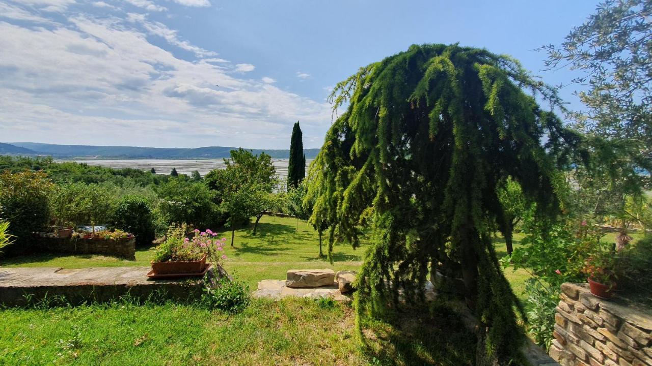 Apartment Laurus Portoroz Exterior foto