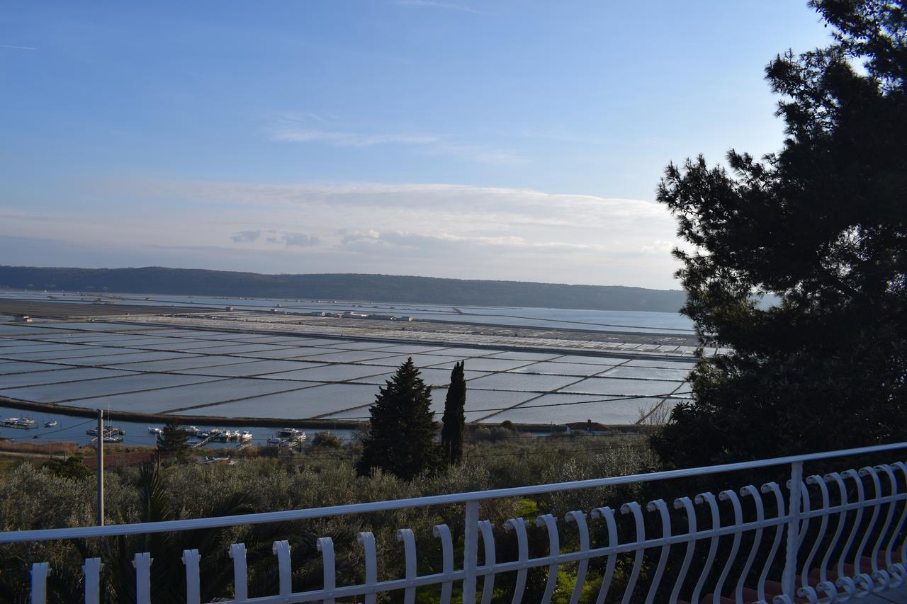 Apartment Laurus Portoroz Exterior foto